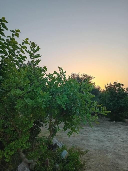 Sofia'S Summer House Короні Екстер'єр фото